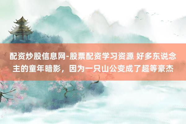 配资炒股信息网-股票配资学习资源 好多东说念主的童年暗影，因为一只山公变成了超等豪杰